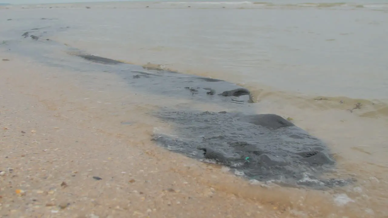 Plastic junk on sandy beach human trash polluting natural environment ecology issue concept