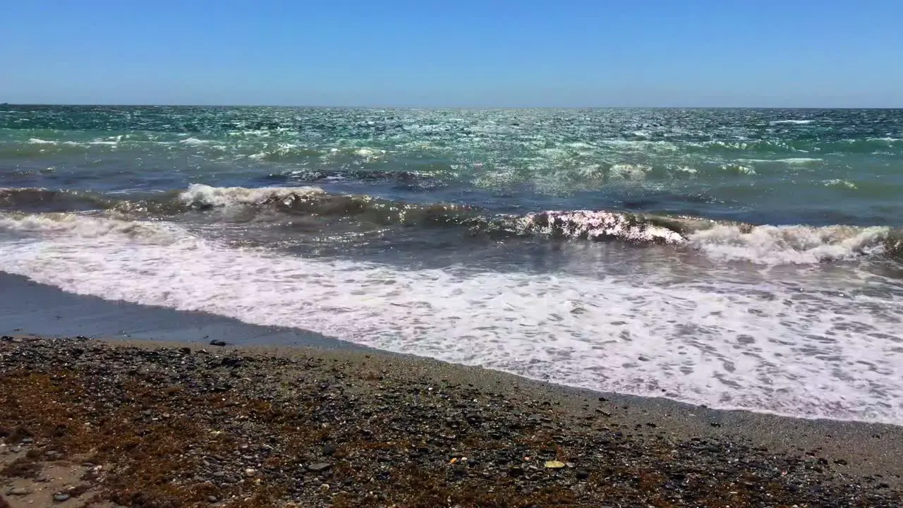 Sunny day with blue sky at the beach with waves on the shore with seaweed in Marbella Malaga Spain