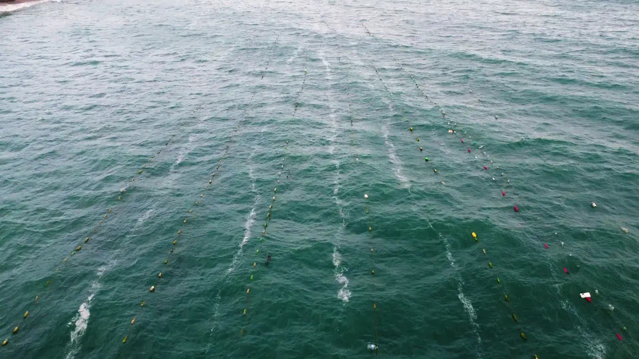 Aerial top down view of fishing farm many fishing nets lines on sea surface