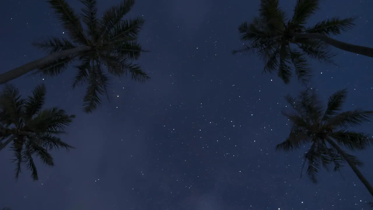 Day to night timelapse under palm trees revealing Milky Way moving through the dark sky