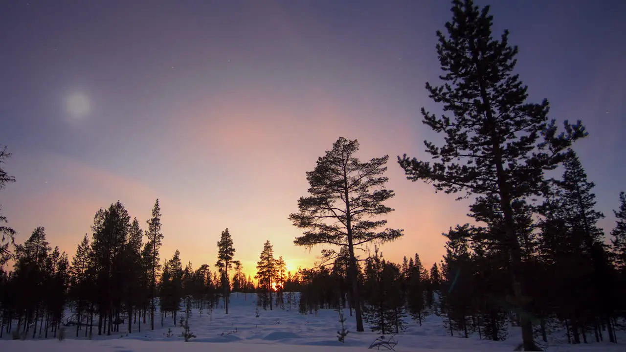 TIME LAPSE A forest and the aurora borealis day to night Finland zoom in