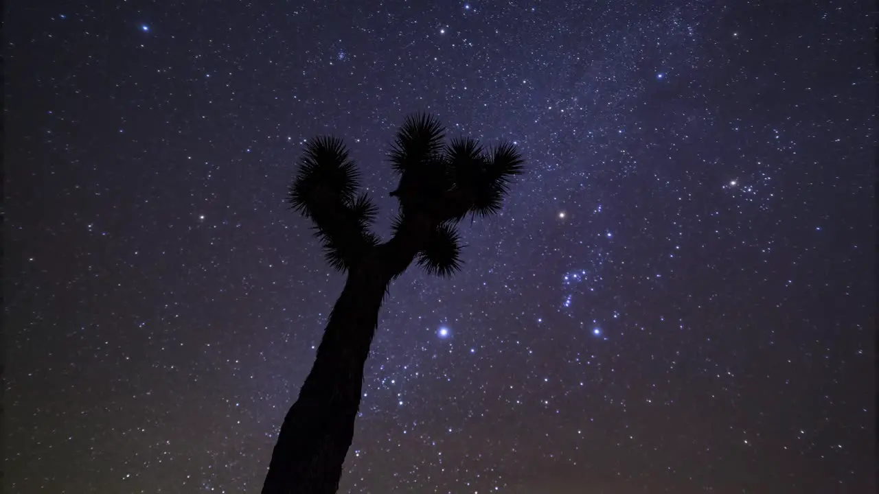 Upward stationary time lapse of the milky way stars and clouds over a Joshua tree