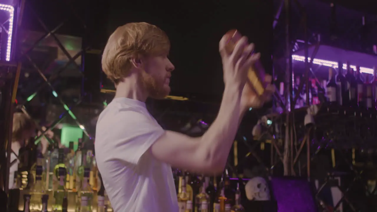 Bartender Preparing Drink Using A Cocktail Shaker