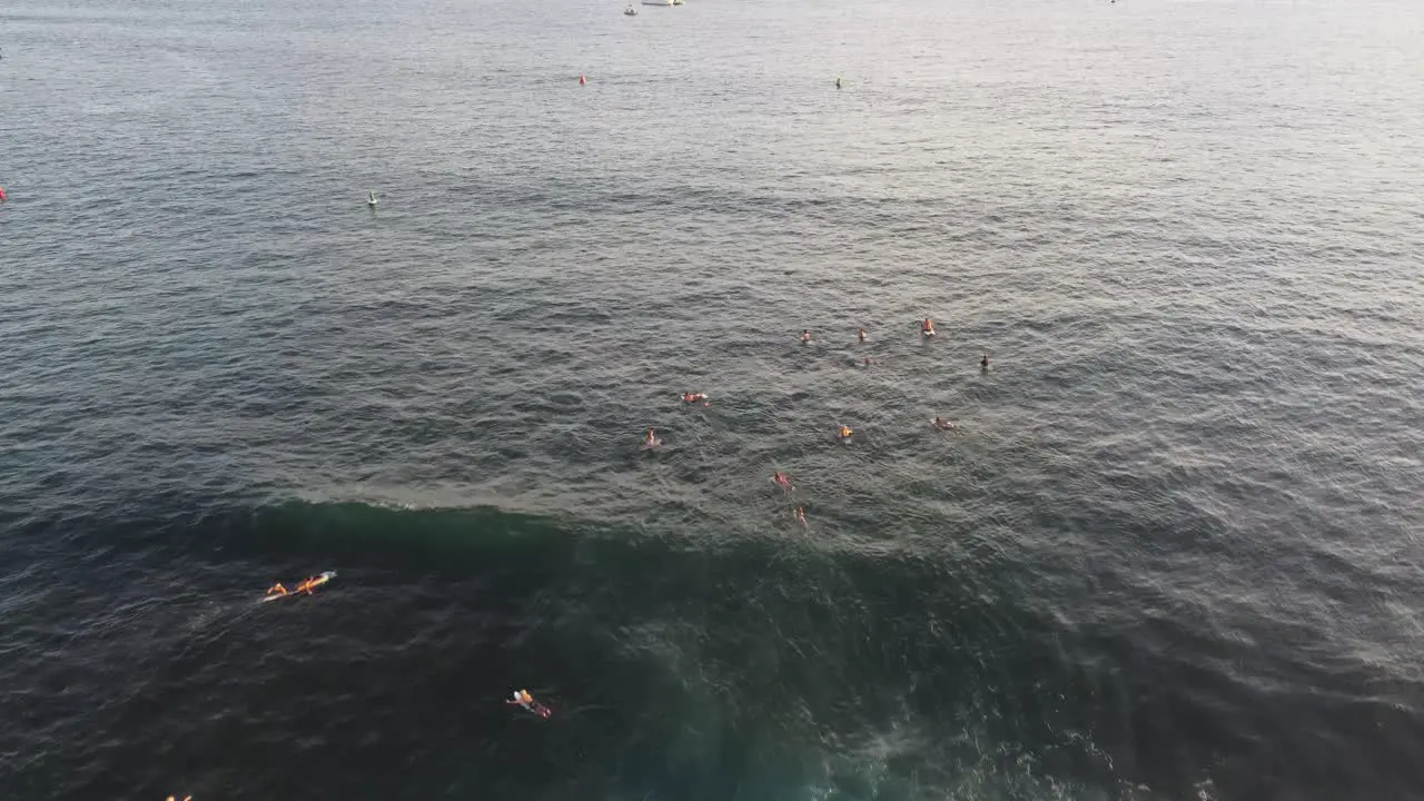 Surfers waiting for waves in the water at Hawaii