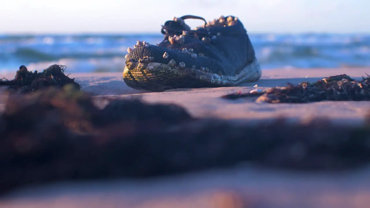 Old shoe covered with seashells on the shore trash and waste litter on an empty Baltic sea white sand beach environmental pollution problem golden hour light on evening medium shot