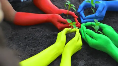 La Naturaleza Trae Belleza A Esta Vida