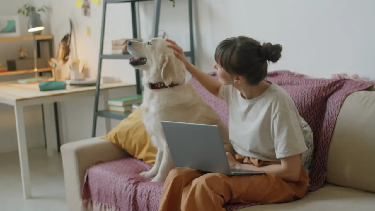 Mujer Sentada Con Una Laptop En El Sofá Y Un Perro Acariciador