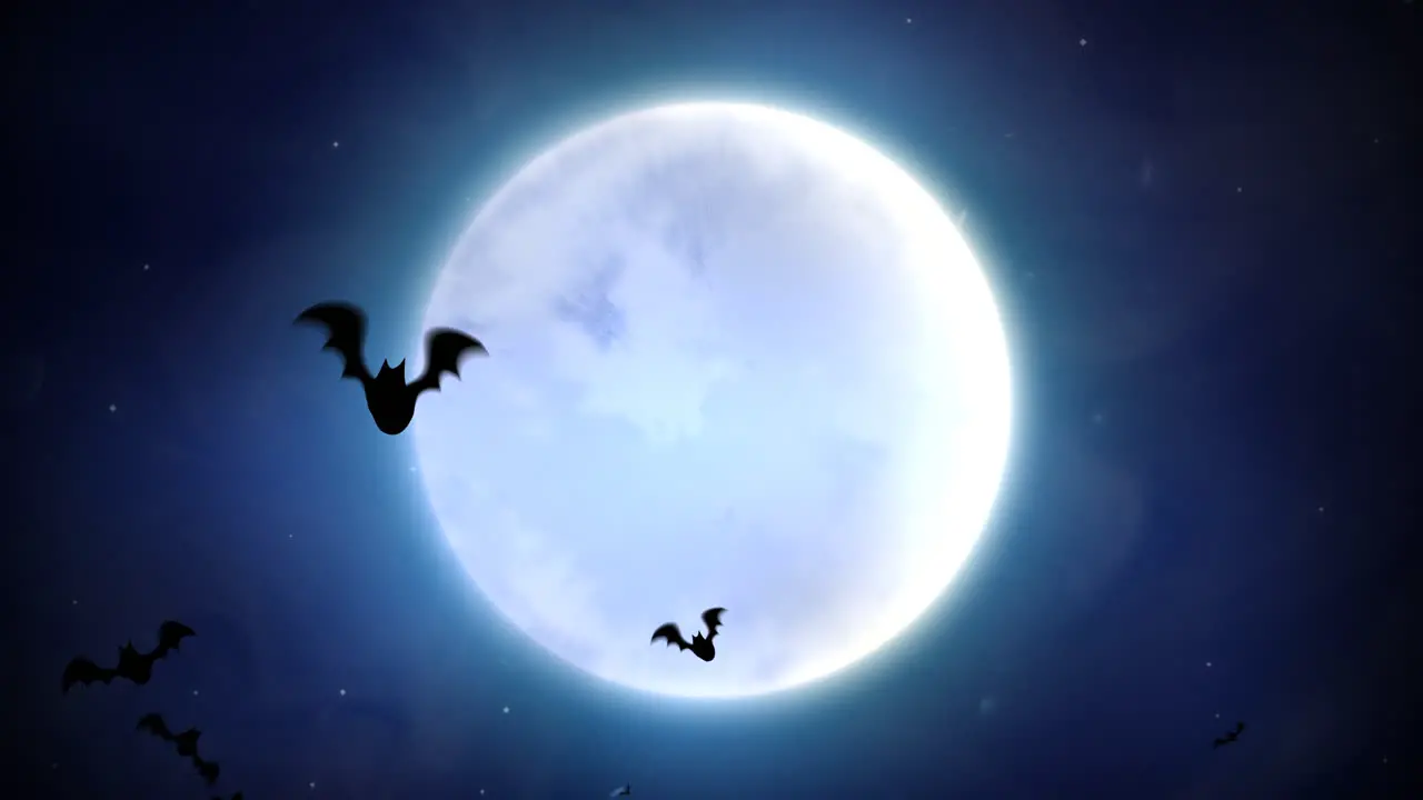 Halloween background animation with the bats and moon