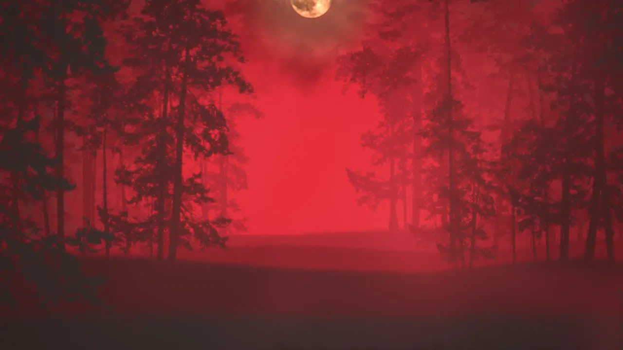 Mystical halloween background with dark forest and fog 6