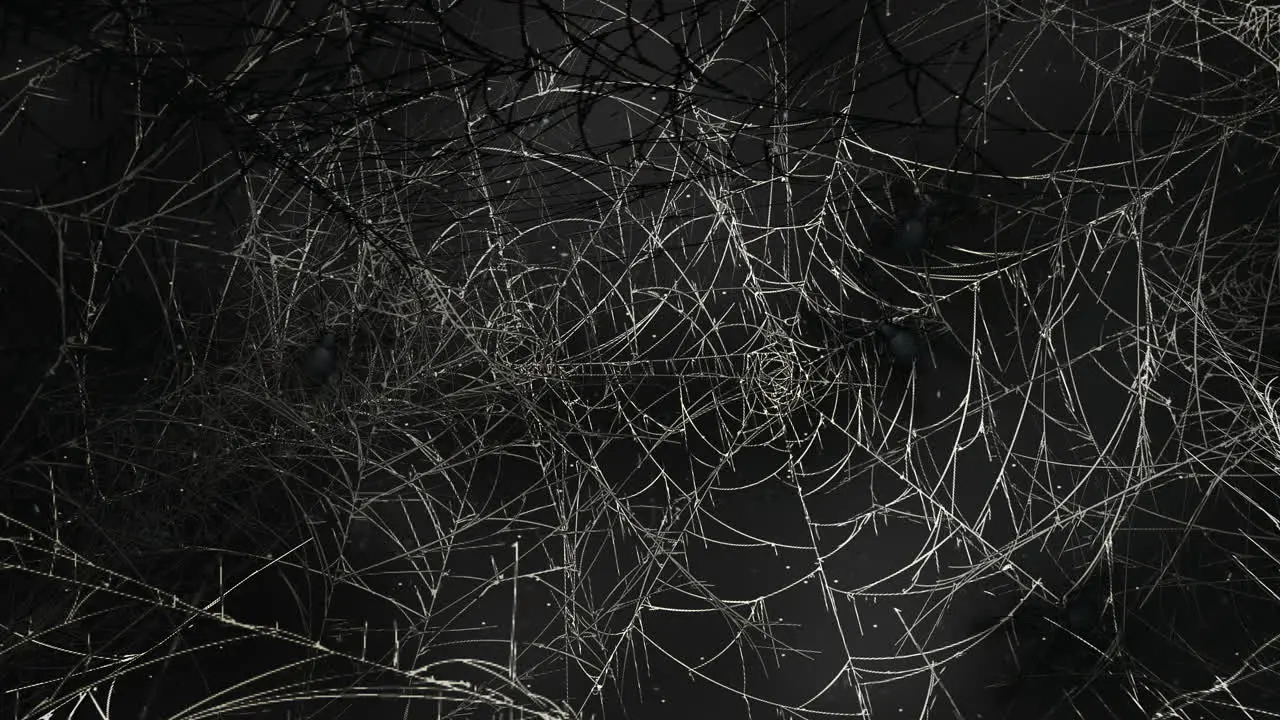 Mystical horror background with dark spiderweb and motion camera