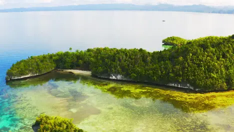 the beautiful Raja Ampat islands in Indonesia