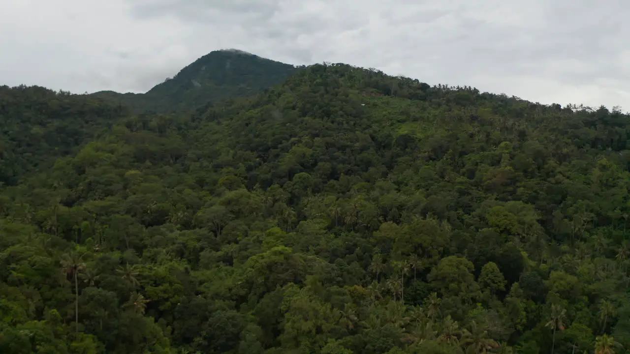 Thick green tropical rainforest on the side of a mountain Aerial dolly view of dark green jungle forest in front of a mountain