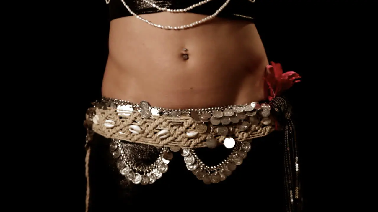 Belly Dancer 04