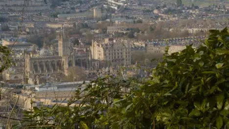 Pull Focus Shot from Bush to Bath Landscape 