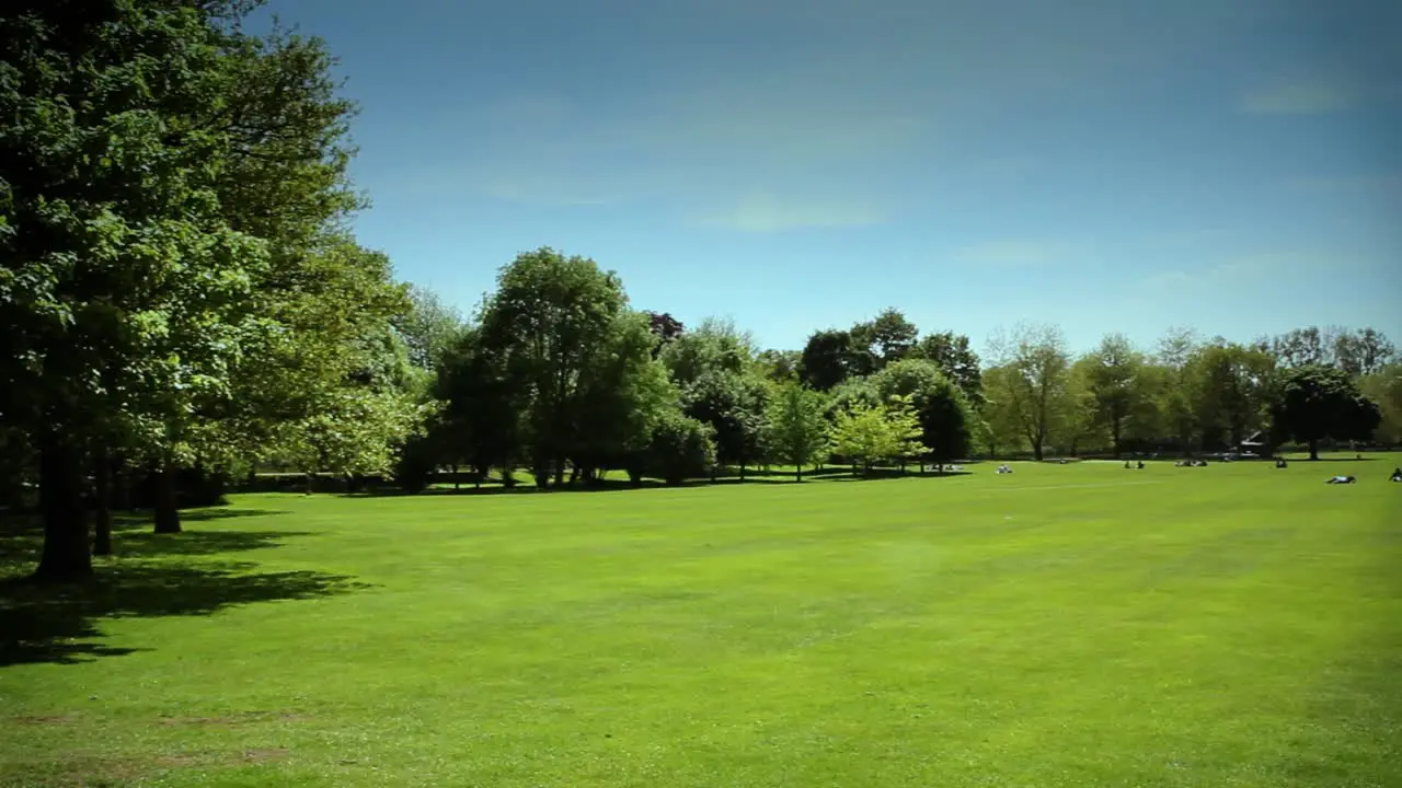 Green Field Pan