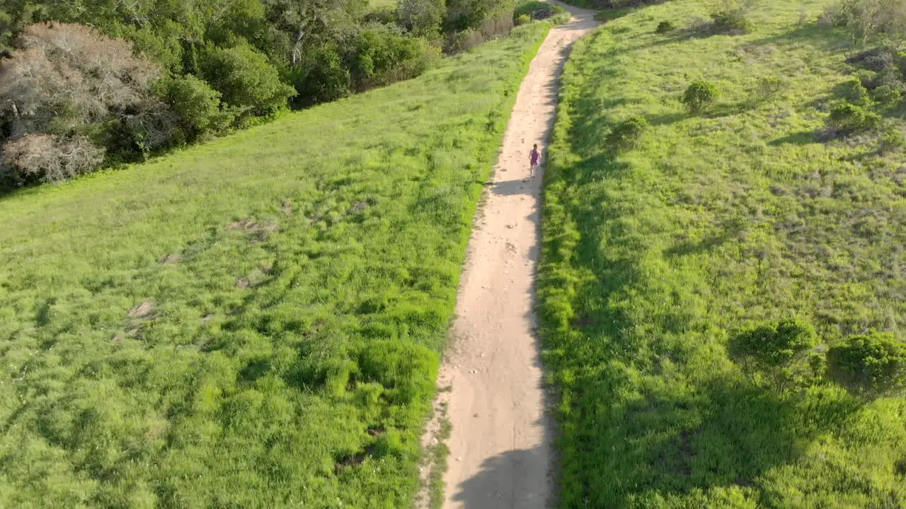 Aerial of Young Woman Running on a Forest Trail at Sunset