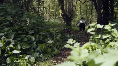 Low Angle Shot Of Man On Mountain Bike Cycling Along Dirt Trail Through Woodland