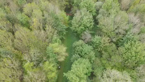 Drone Aerial Shot Of Man On Mountain Bike Cycling Along Trail Through Countryside And Woodland 4