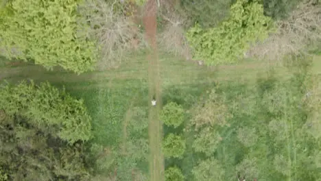 Drone Aerial Shot Of Man On Mountain Bike Cycling Along Trail Through Countryside And Woodland