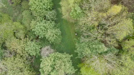 Drone Aerial Shot Of Man On Mountain Bike Cycling Along Trail Through Countryside And Woodland 2