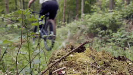 Low Angle Slow Motion Shot Of Man On Mountain Bike Cycling Along Trail Through Woodland 2