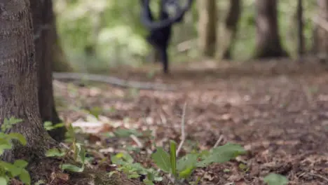 Slow Motion Shot Of Man On Mountain Bike Cycling Along Trail Through Woodland Doing Wheelie