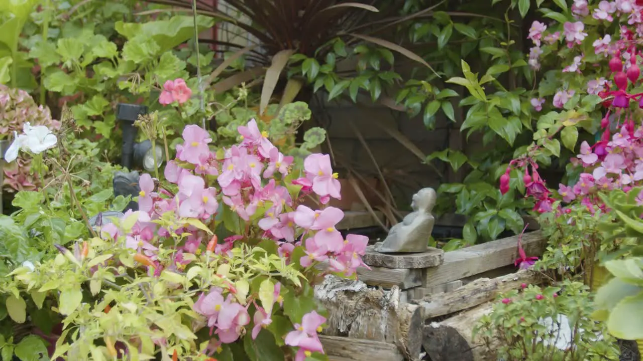 Watering flowers and plants by a pond in the garden