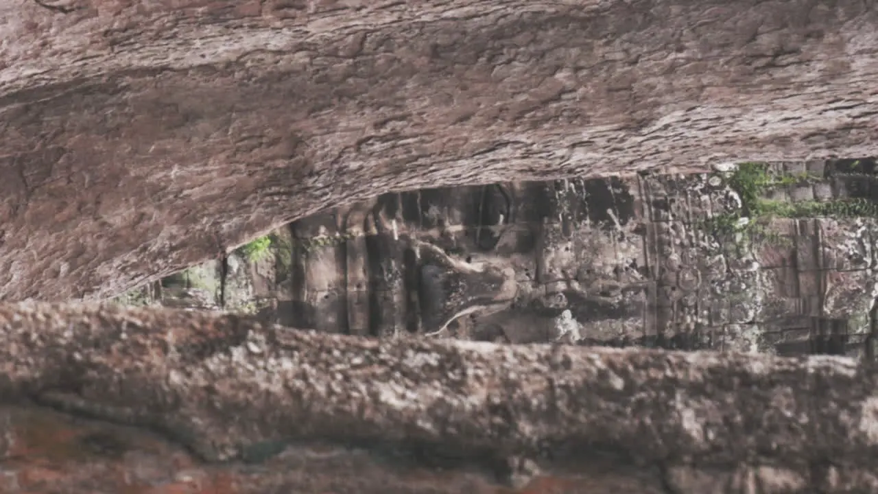 Buddha face reveal between trees