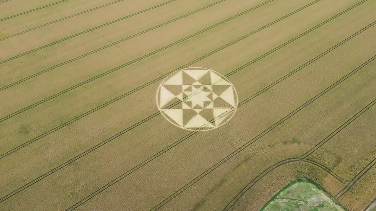 Aerial view rising back from Micheldever 2023 crop circle shaped into golden Hampshire agricultural wheat field