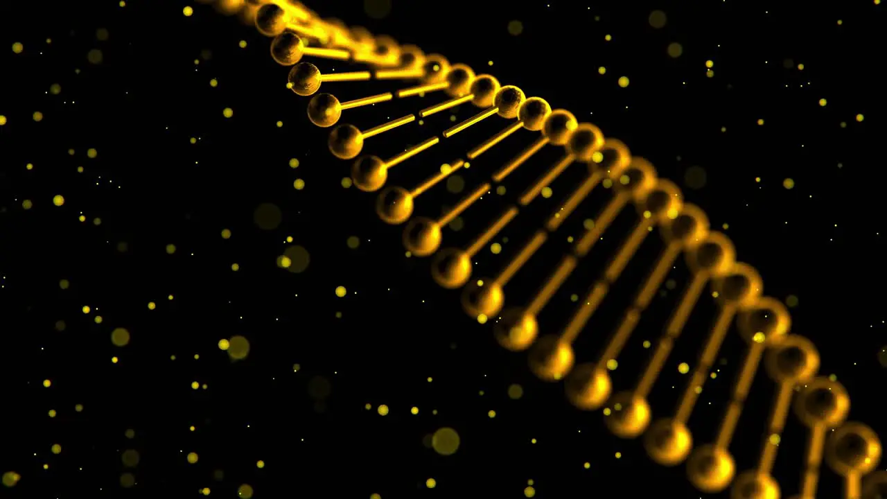 3D animation of rotating twisting golden colored DNA strands with floating particles on black background