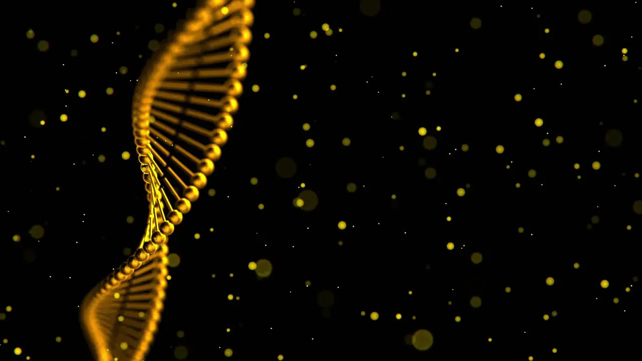 3D animation of twisting golden colored DNA strands with floating particles on black background