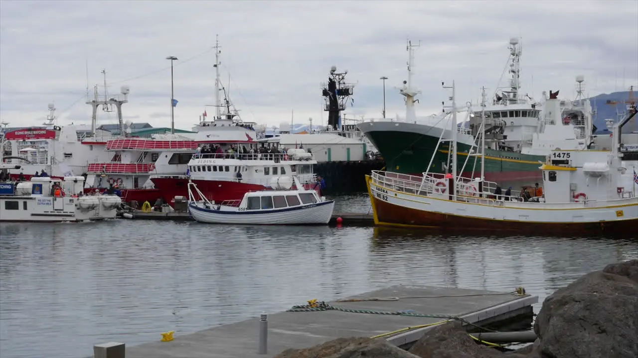 Iceland Reykjavik Boat Harbor