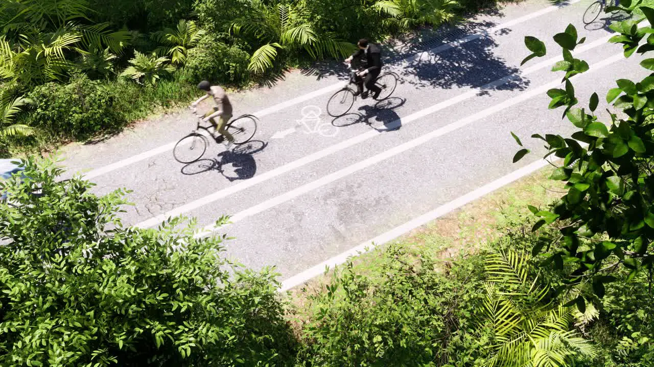 Bicycles with bicyclists moving on a bicycle road