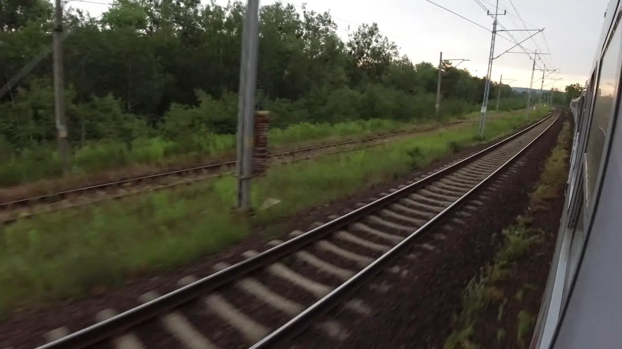 A forest view from a fast moving train