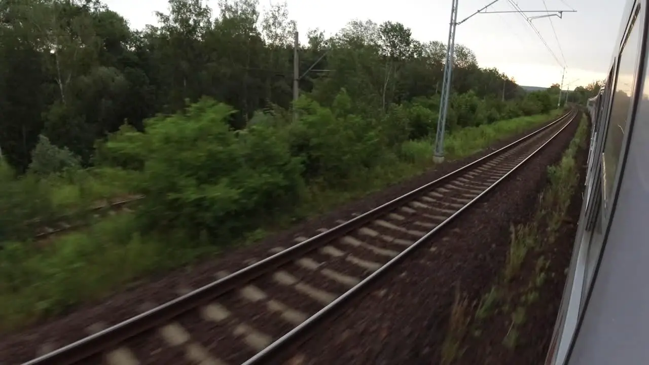 A view of the train tracks and the woods from a fast moving train