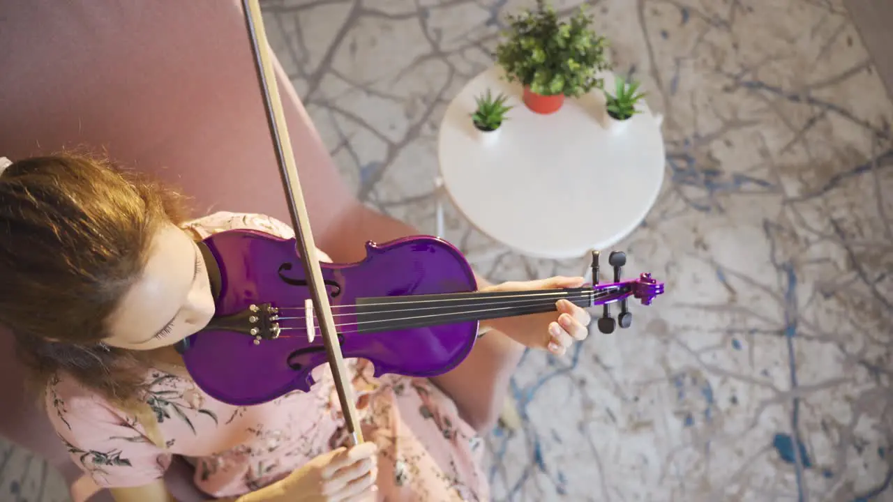 Talented female violinist playing the violin at home Musician