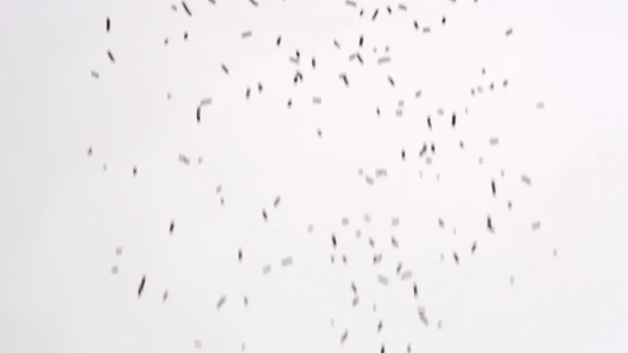 Brown chocolate sprinkles ice cream topping ingredient raining down in slow motion on white backdrop