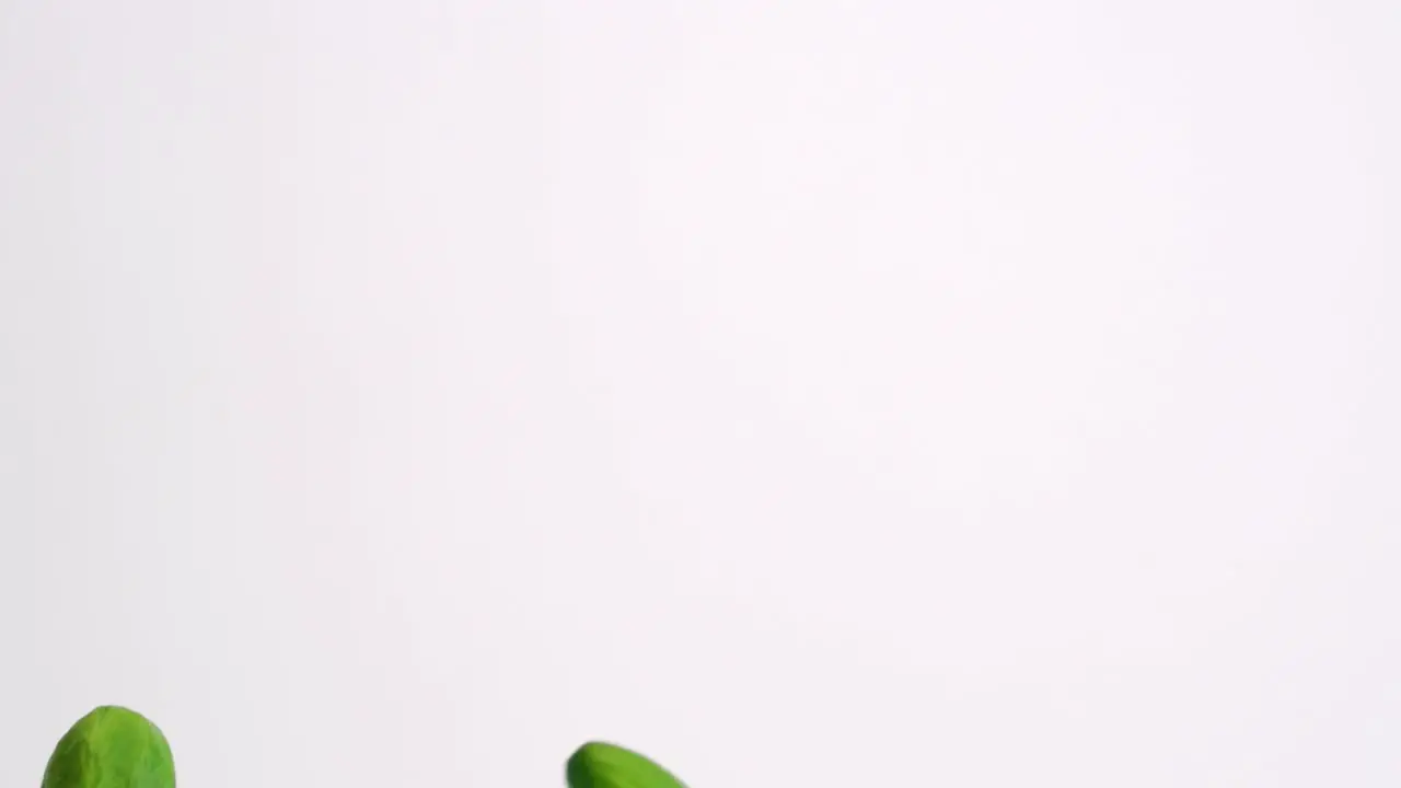 Whole mini Persian cucumbers raining down on white backdrop and bouncing back into frame in slow motion