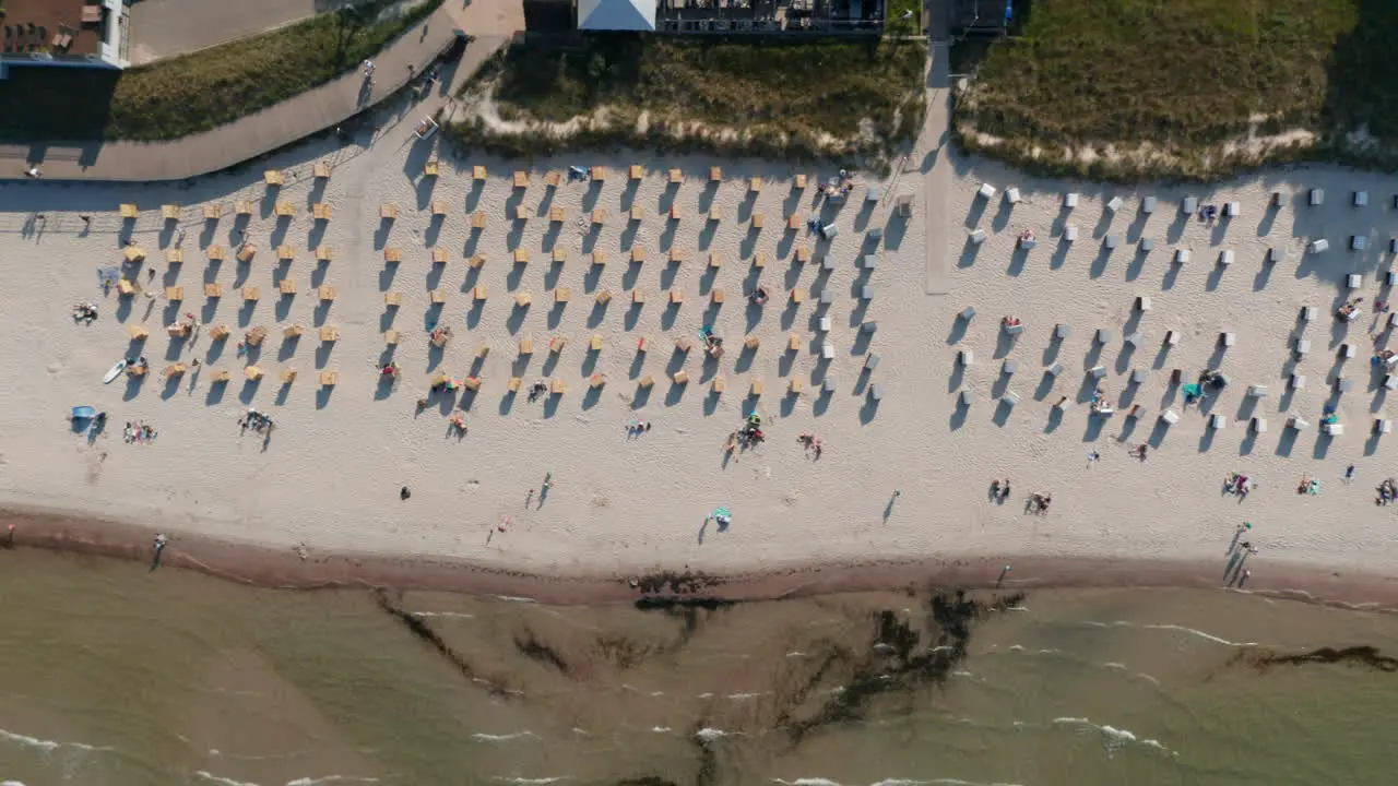 Tourist beach in Baltic sea seen from aerial birds eye overhead top down drone view beach with chairs and tourists enjoying the summertime sun sideways day