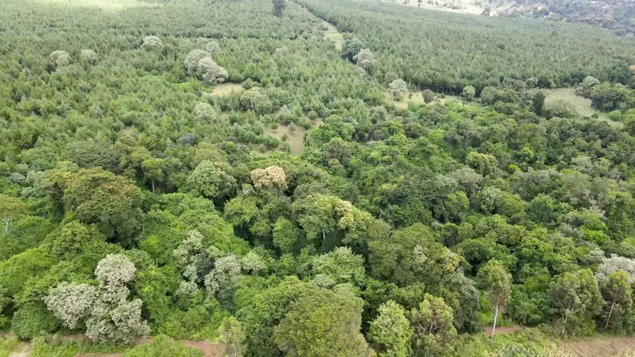 Conservation in kenya