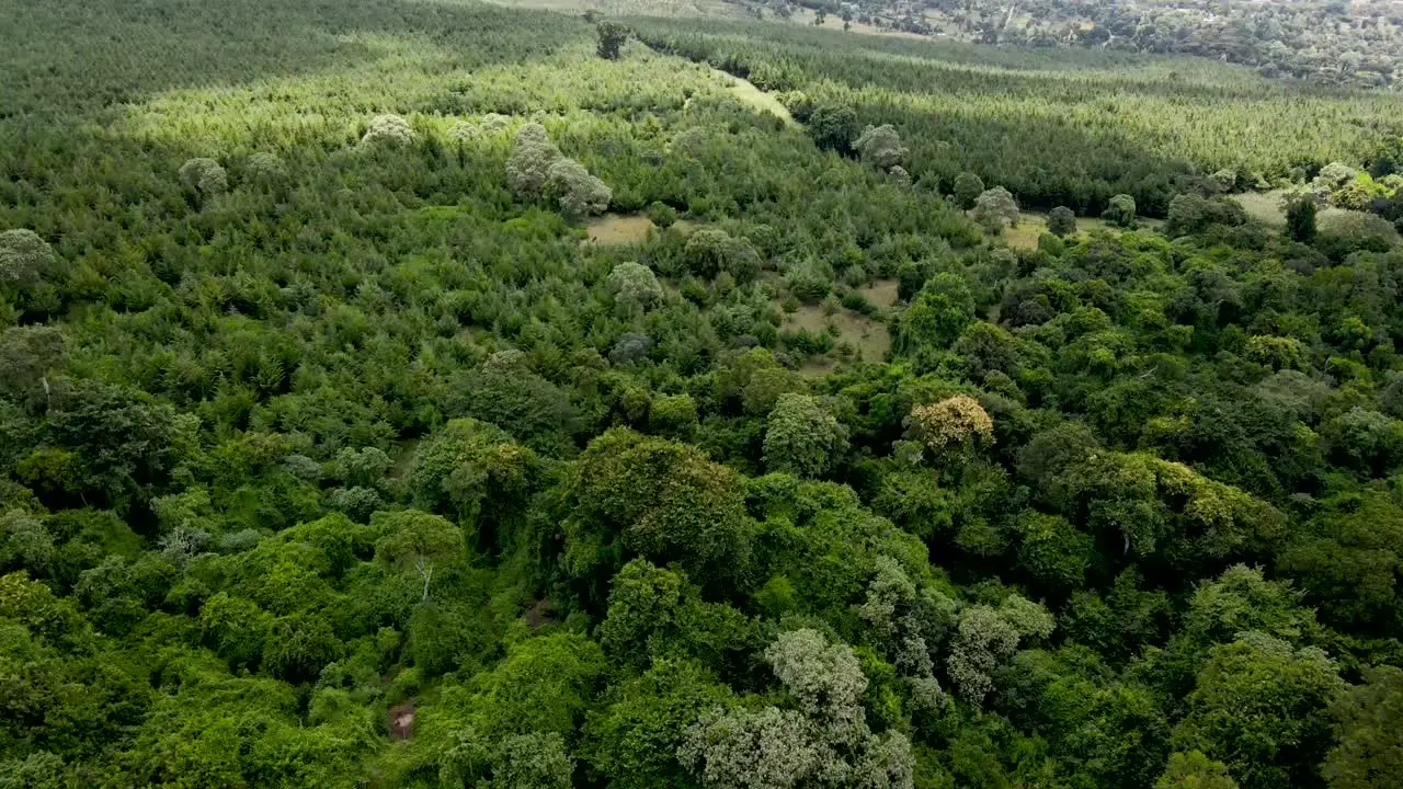 Environmental conservation-drone fly over the Africa forest