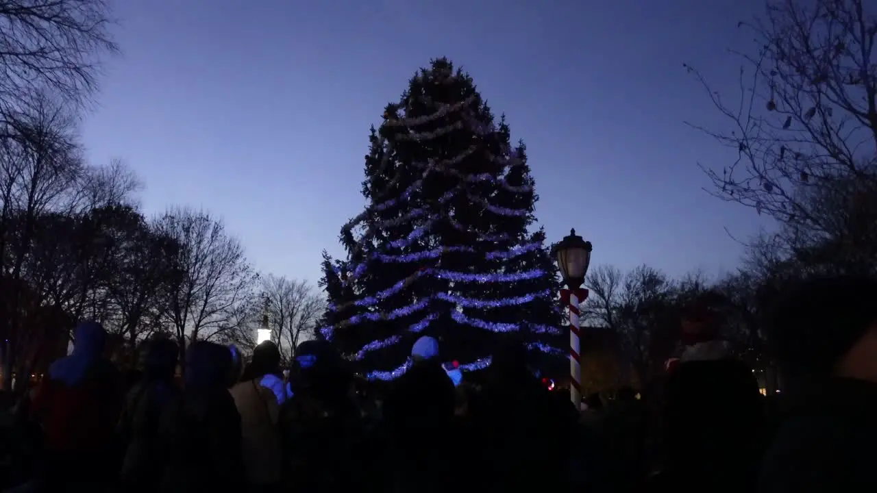 A Christmas tree being lit up for the holidays in a suburban city in the USA