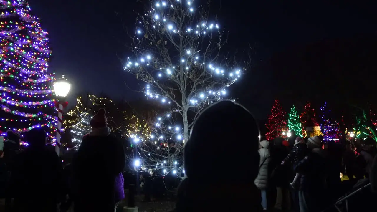 A fully lit Christmas Tree with a park of lights illuminated