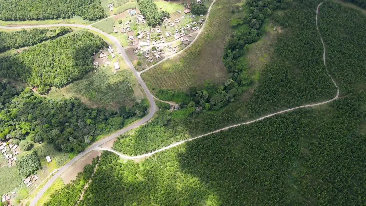 Natural forest with multiple roads passing over the green forest of kenya slopes of mount Kilimanjaro