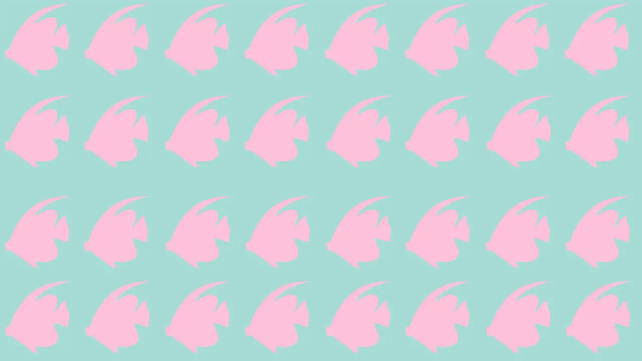 Animation of rows of pink fish with copy space on blue background