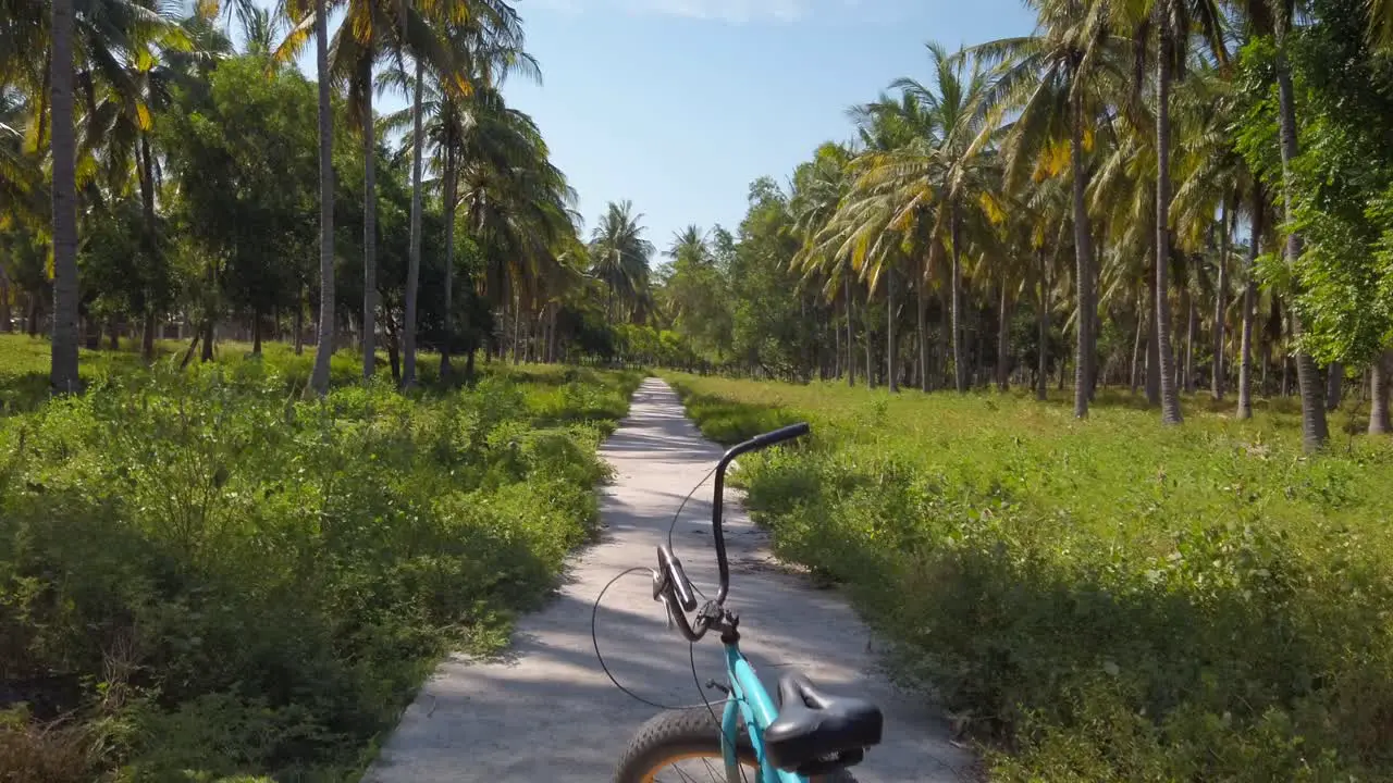 colourful bicycle on walking path in a tropical forest lines with coconut trees stable shot moving up shot in Gili Trawangan Island Bali Indonesia