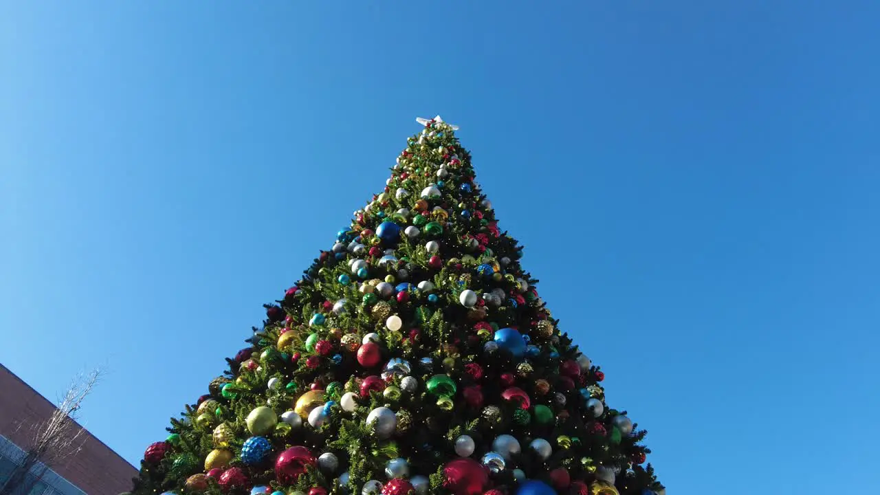 Decorated Christmas Tree in Chicago