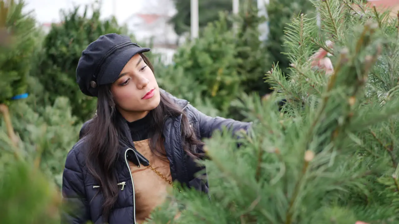 A hispanic woman shopping for a seasonal holiday Christmas tree on a lot with many species of festive trees