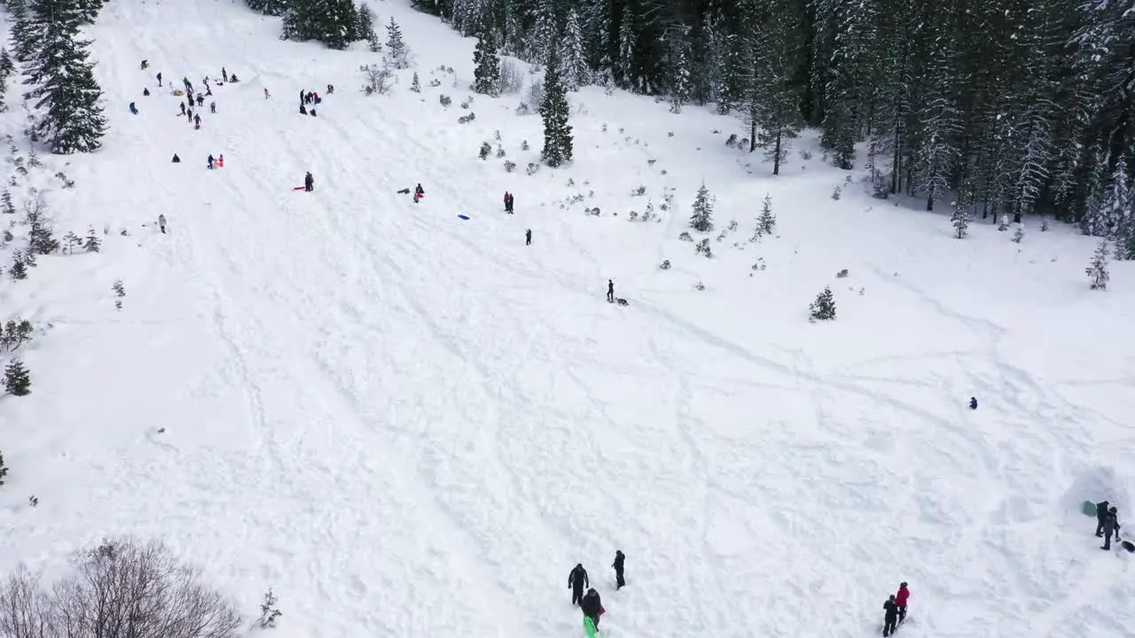 People walking and sledding down a hill in the winter