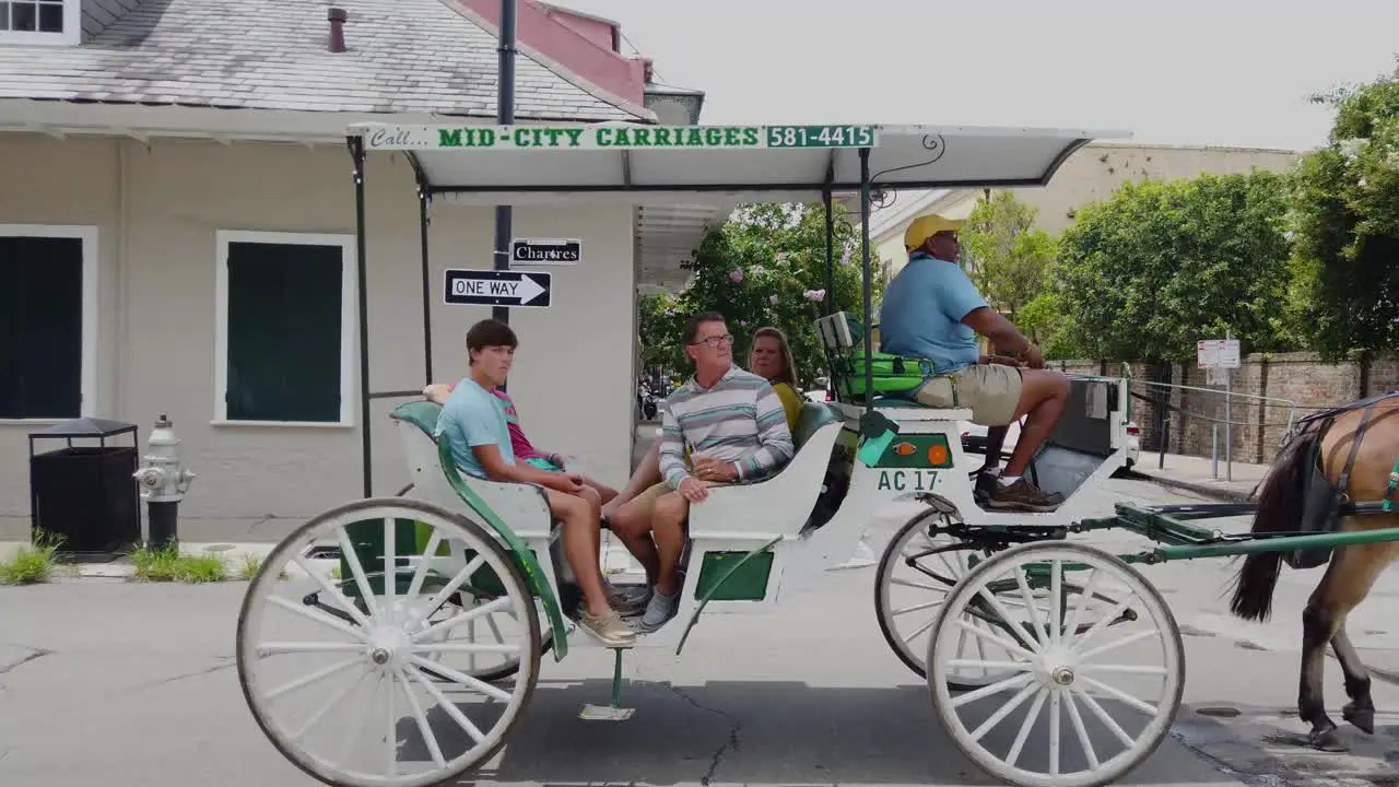 This is editorial footage of Mid-City carriages horse and carriage in New Orleans Louisiana